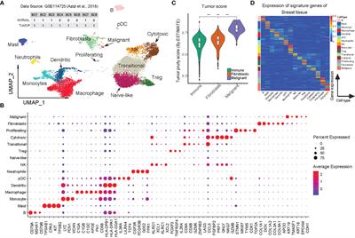 From Cellular Infiltration Assessment to a Functional Gene Set-Based Prognostic Model for Breast Cancer